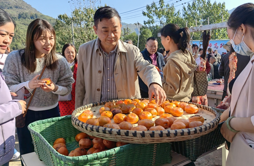 湖北咸安:千人趕“柿集”