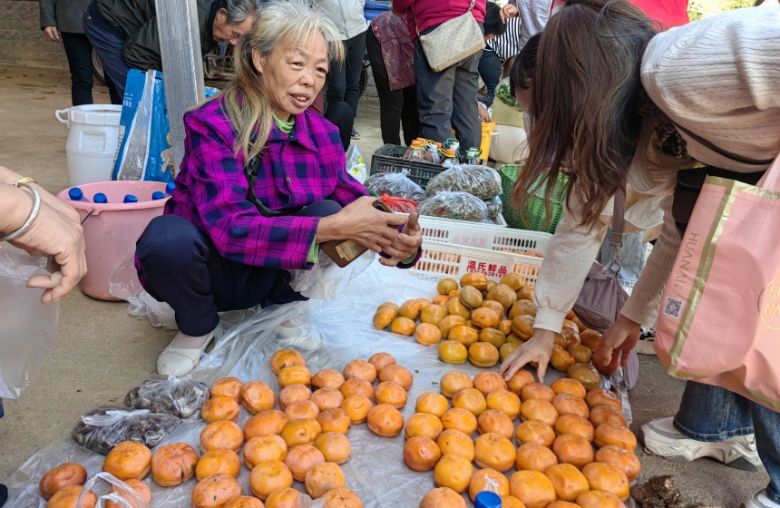 湖北咸安:千人趕“柿集”【2】