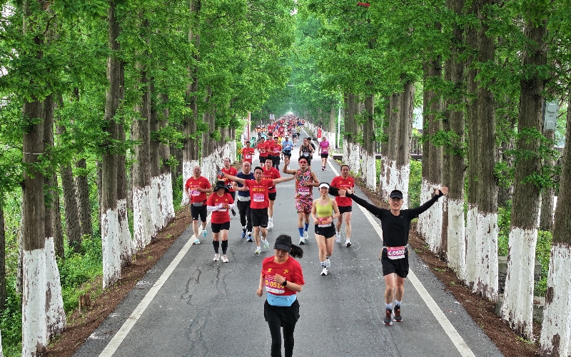 返灣湖濕地馬拉松。潛江市委宣傳部供圖