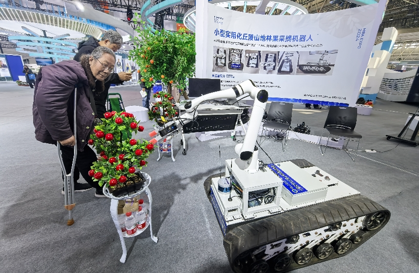 山地林果采摘機(jī)器人被圍觀。