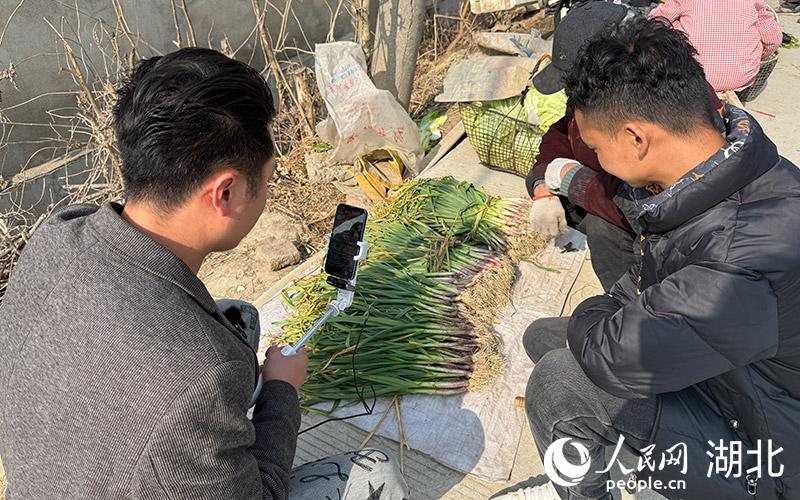 周中文正在檢查爺爺奶奶摘的香大蒜品質(zhì)。人民網(wǎng)記者 張雋攝