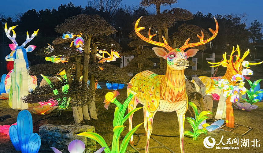 新春走基層丨湖北荊門:燈會歡樂不打烊【7】