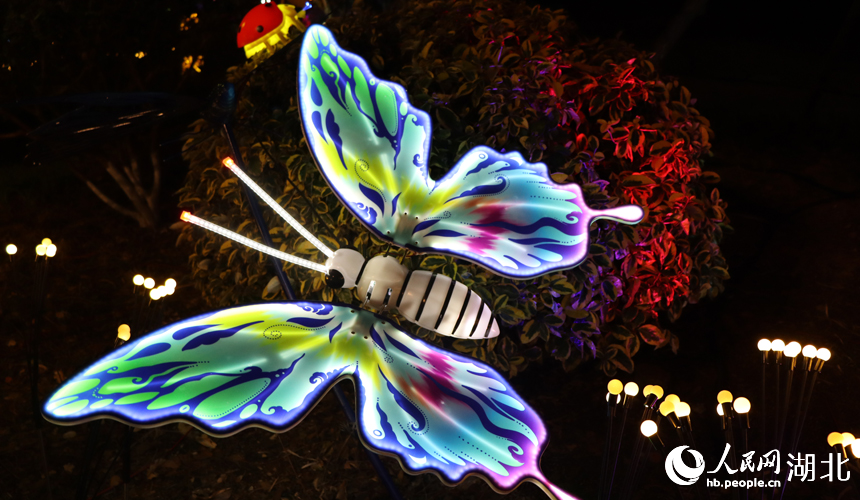 新春走基層丨湖北荊門:燈會歡樂不打烊【9】