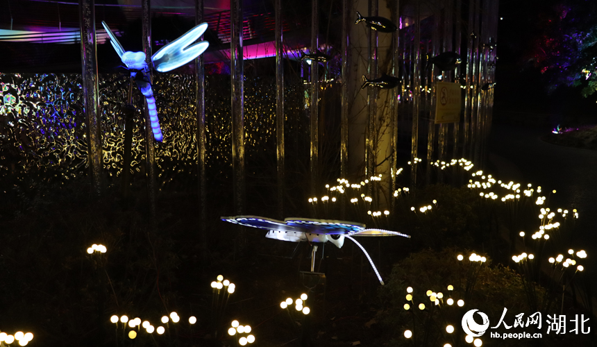 新春走基層丨湖北荊門:燈會(huì)歡樂不打烊【11】