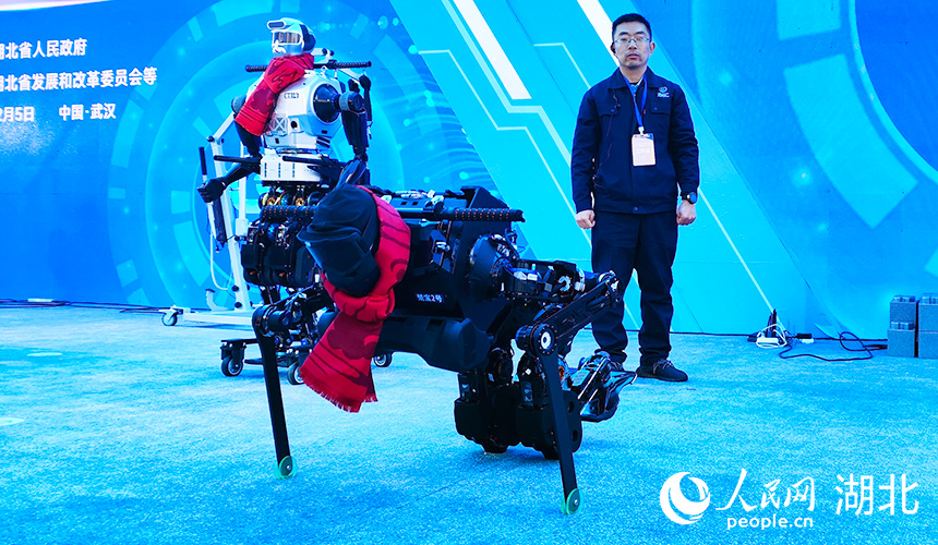 “楚寶”系列人形機(jī)器人展示被推倒后站起。人民網(wǎng)記者 王郭驥攝