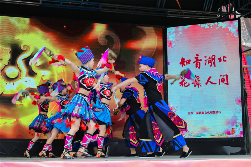 鄂豫共繪文旅協(xié)作新景 春季賞花經(jīng)濟助力中部崛起【4】