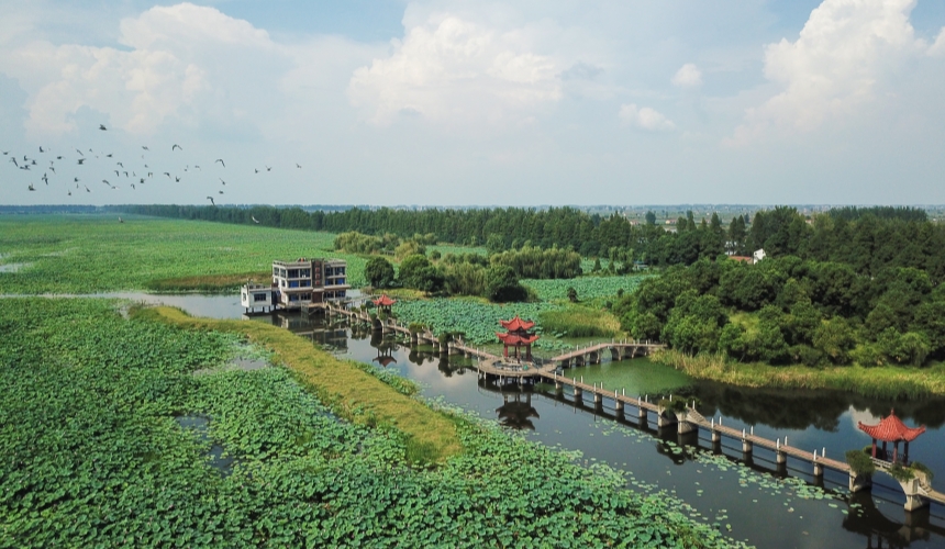 汈汊湖。漢川市委宣傳部供圖