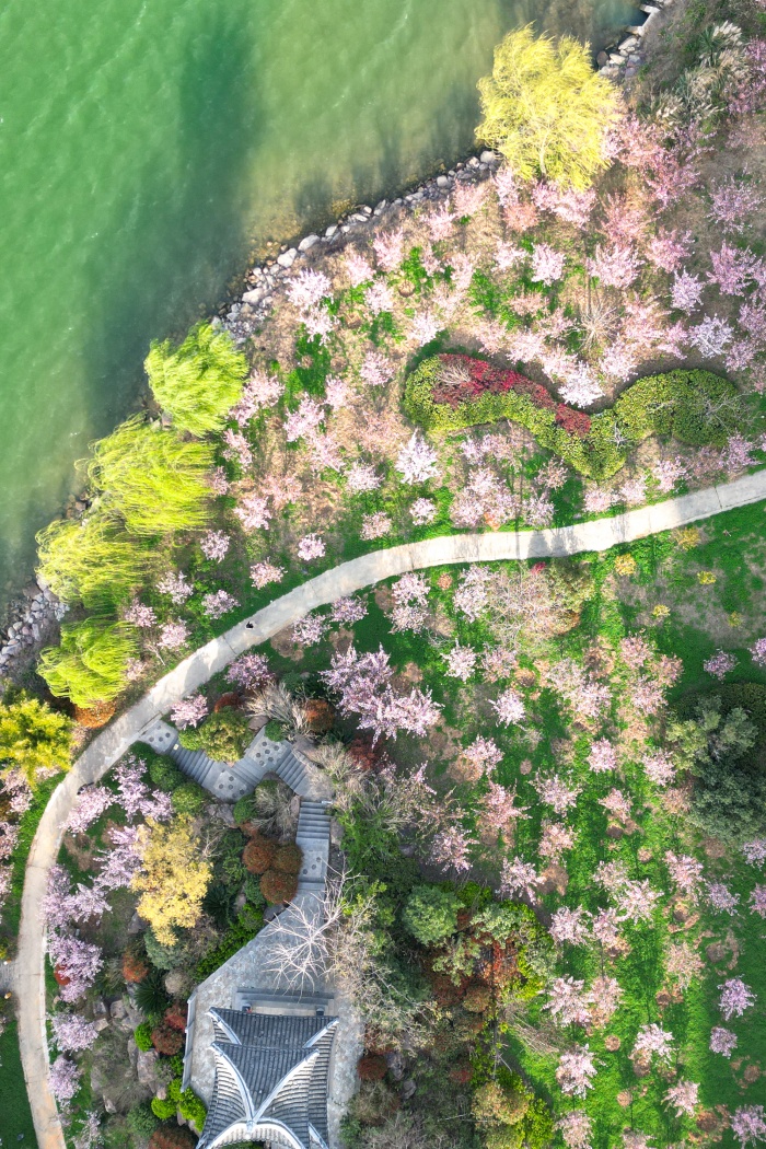 來(lái)天嶼湖，春賞百花，感受盎然生機(jī)。漢川市委宣傳部供圖