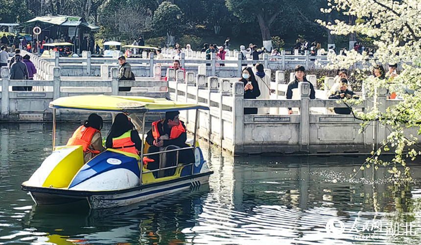 青山公園梨花盛開。人民網(wǎng)記者 張穎攝