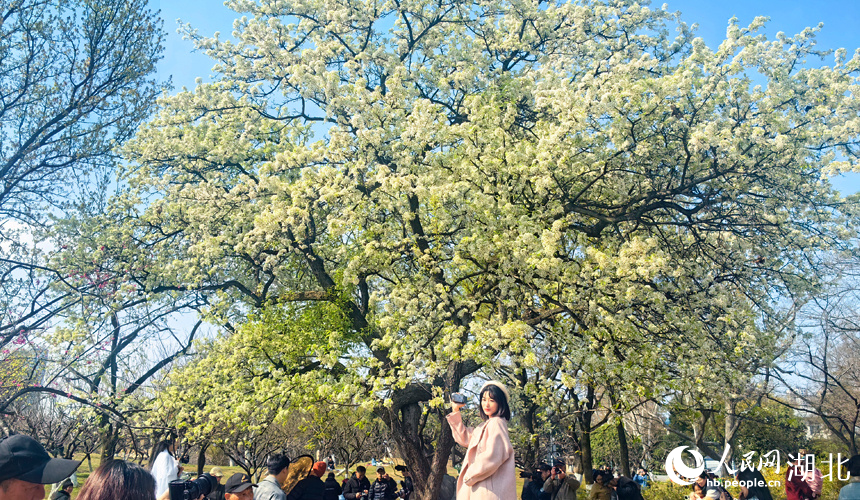 游人打卡。人民網(wǎng)記者 張穎攝