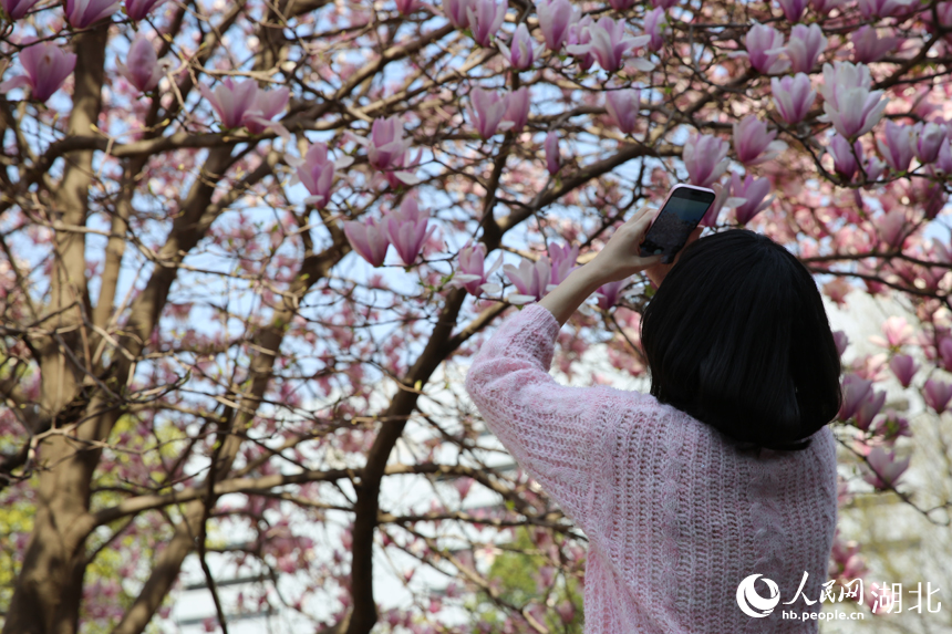 學生駐足留影。人民網(wǎng)記者 張沛攝