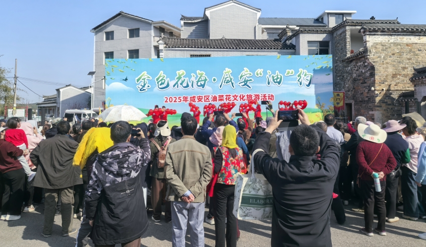 萬人“趕花集”！湖北咸安開啟油菜花狂歡季【4】