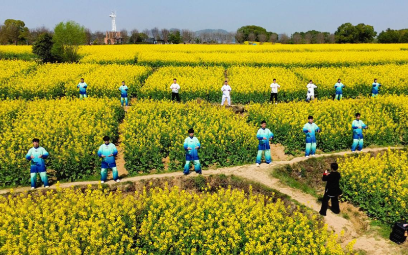花田里的健身氣功八段錦.