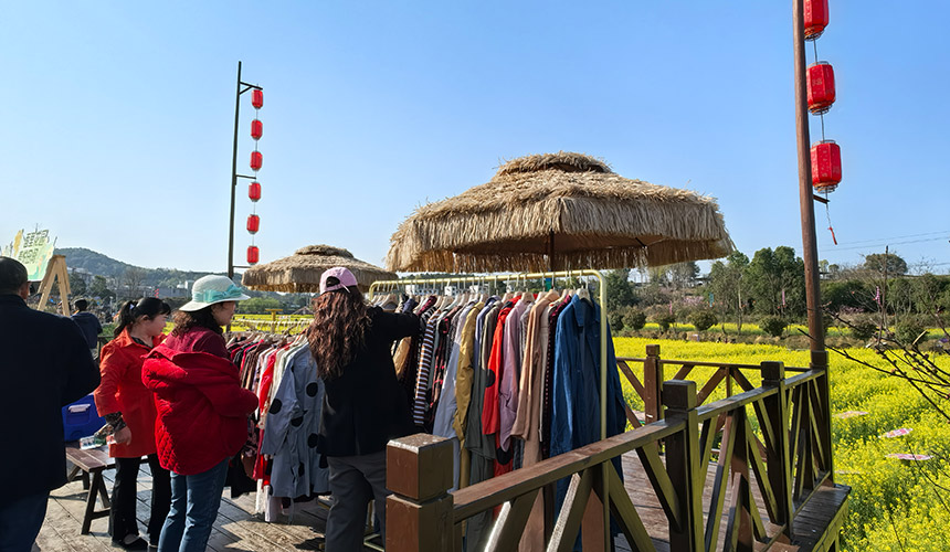 湖北咸安:百公里花帶引10萬游客【3】