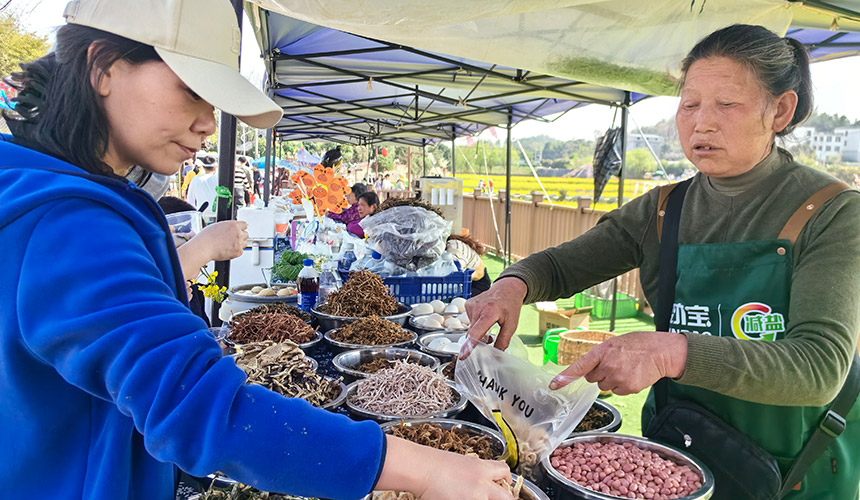 湖北咸安：百公里花帶引10萬游客【4】