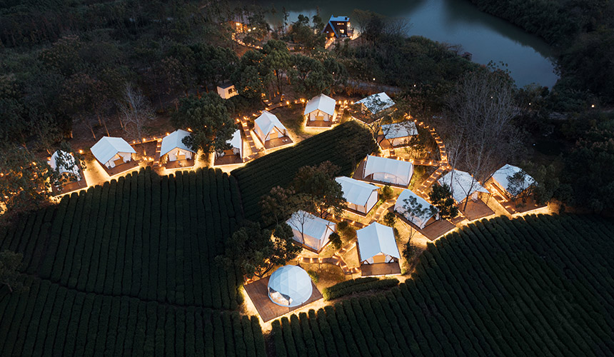 湖北咸安:百公里花帶引10萬游客【5】