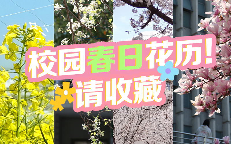 湖北武漢：校園春日花歷！請收藏