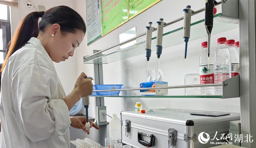 武漢農(nóng)業(yè)檢測(cè)中心工作人員在櫻桃種植基地抽樣檢測(cè)。人民網(wǎng)記者 郭婷婷攝