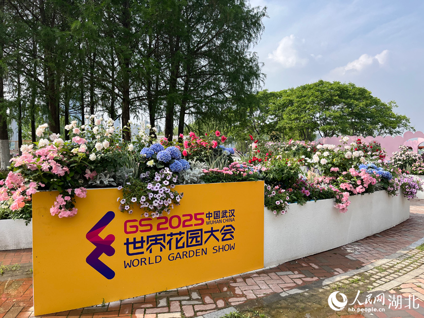 武漢2025年世界花園大會沙湖公園主會場。人民網(wǎng)記者 張沛攝
