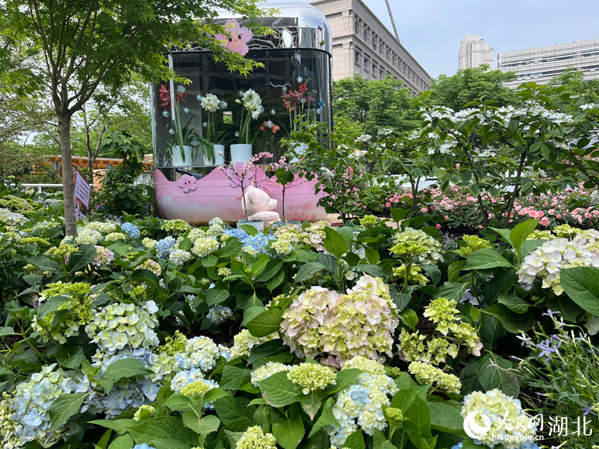 沙湖公園永久展區(qū)。人民網記者 張沛攝