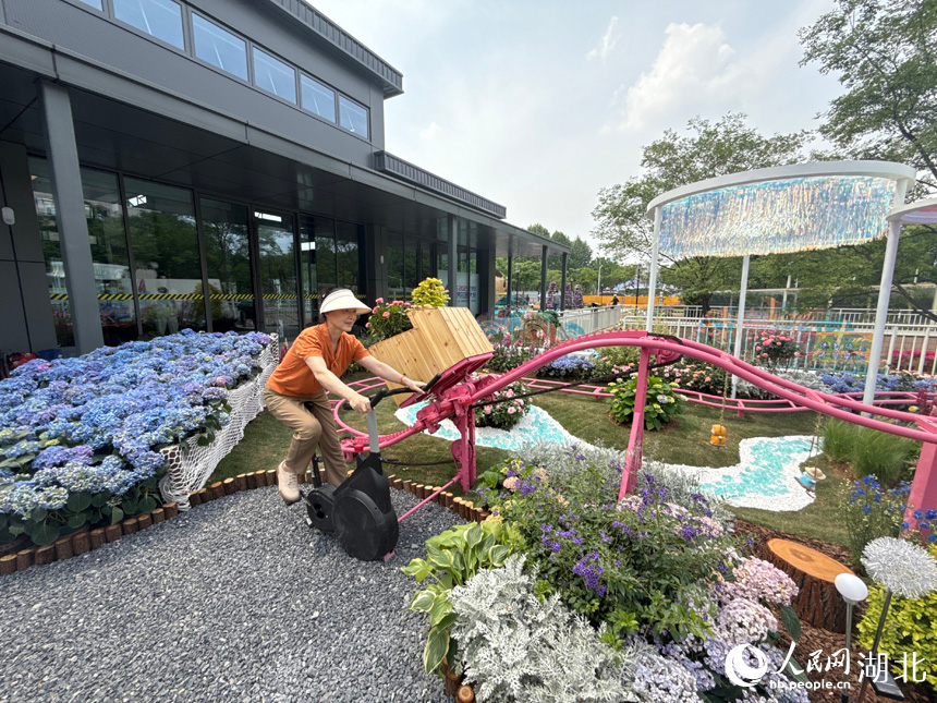 沙湖公園永久展區(qū)，微縮的粉色過山車格外吸睛。人民網(wǎng)記者 張沛攝