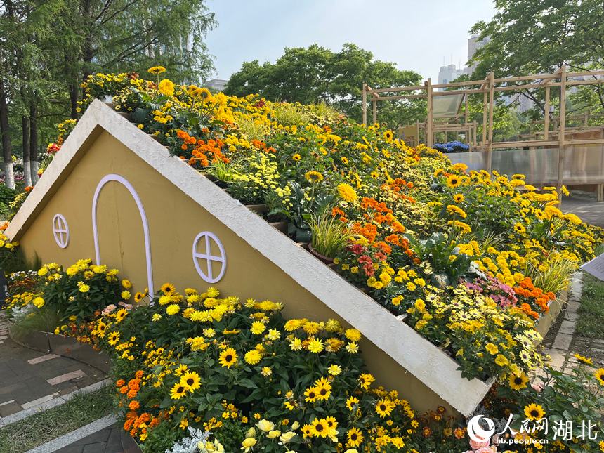 沙湖公園濱水廣場上，布置的花卉應(yīng)用場景。人民網(wǎng)記者 張沛攝