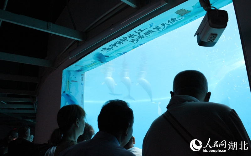 小朋友和家長近距離觀賞江豚。人民網(wǎng)記者 張沛攝