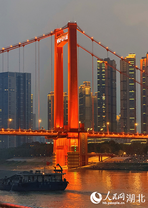 鸚鵡洲長江大橋夜景。人民網(wǎng)記者 周恬攝