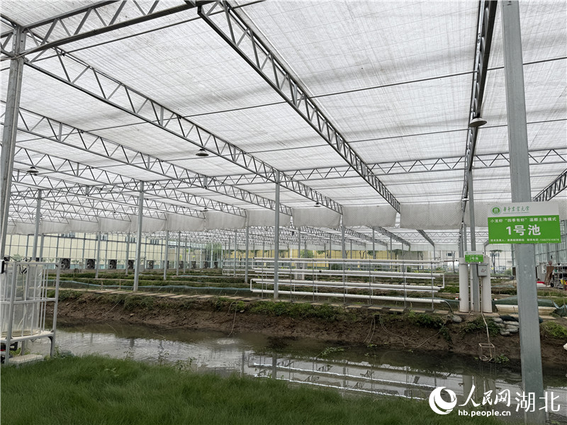湖北省小龍蝦產(chǎn)業(yè)技術(shù)研究院。人民網(wǎng)記者 張雋攝