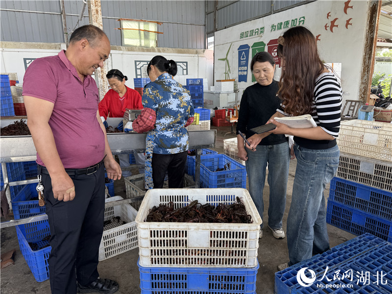 鄭培昌在高興村的收蝦點(diǎn)賣蝦。人民網(wǎng)記者張雋攝