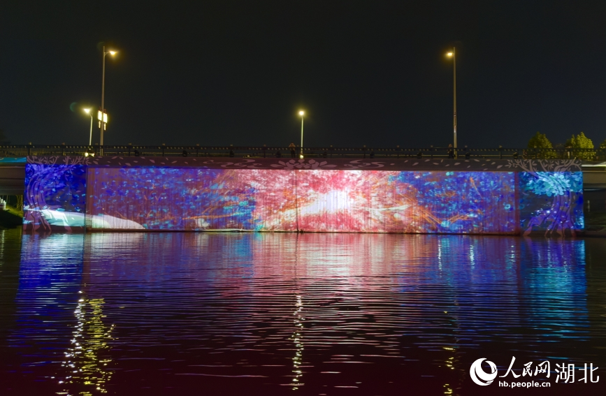 《槐蔭船說》水上夜游項目。人民網記者 張雋攝