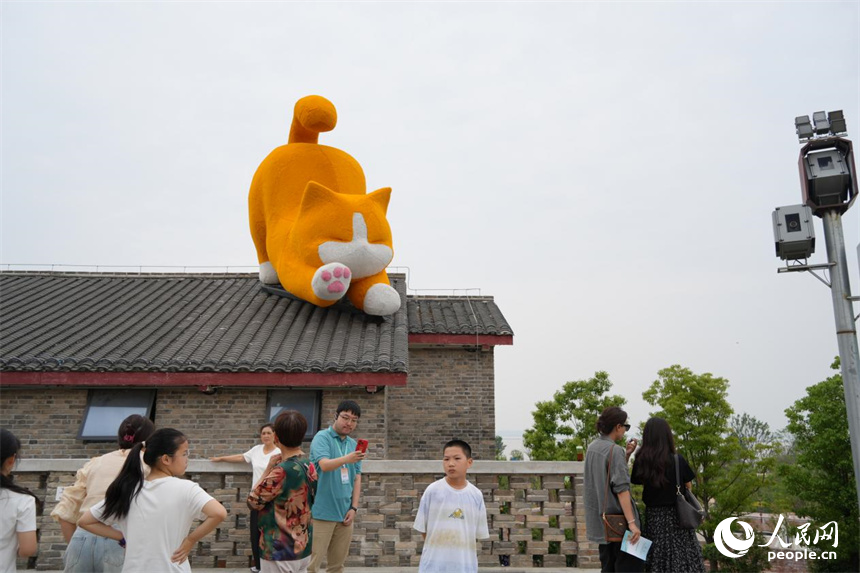 橘貓趴在屋頂憨態(tài)可掬。人民網(wǎng) 劉汕攝