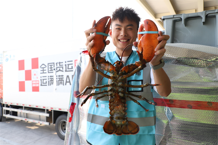 “鄂州-紐約-哈利法克斯”航線運輸?shù)凝埼r。
