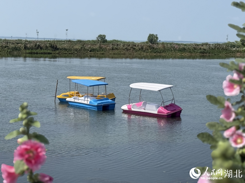 水草科普基地的游船。人民網(wǎng)記者 周恬攝