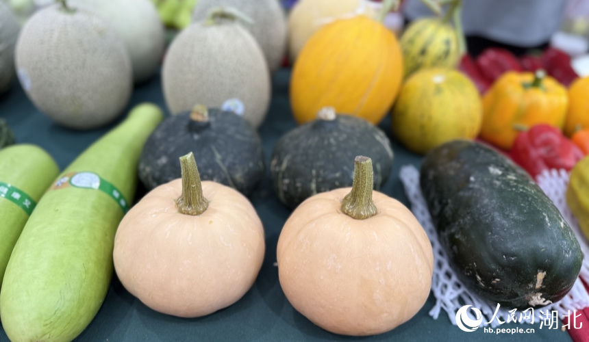 創(chuàng)新技術(shù)培育出的奶黃小南瓜，比西瓜還甜。