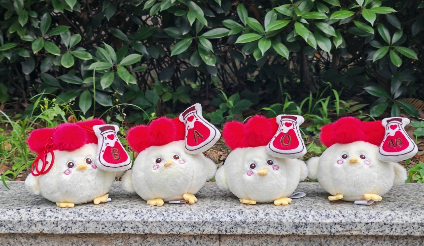 身掛A、B、O、AB血型魔法瓶的“熱血”蒜鳥玩偶齊齊亮相。武漢血液中心供圖