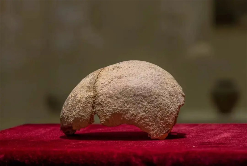 漢陽人頭蓋骨化石。