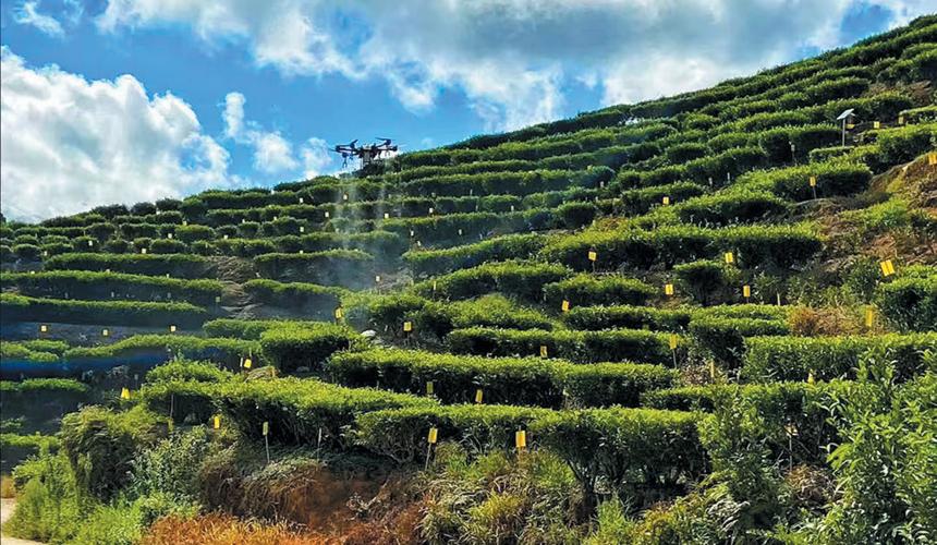 湖北竹山:深山小縣踏上低空賽道【4】