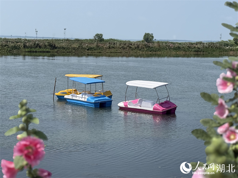 梁子湖水生植物科普基地的觀光游船。人民網(wǎng)記者 周恬攝