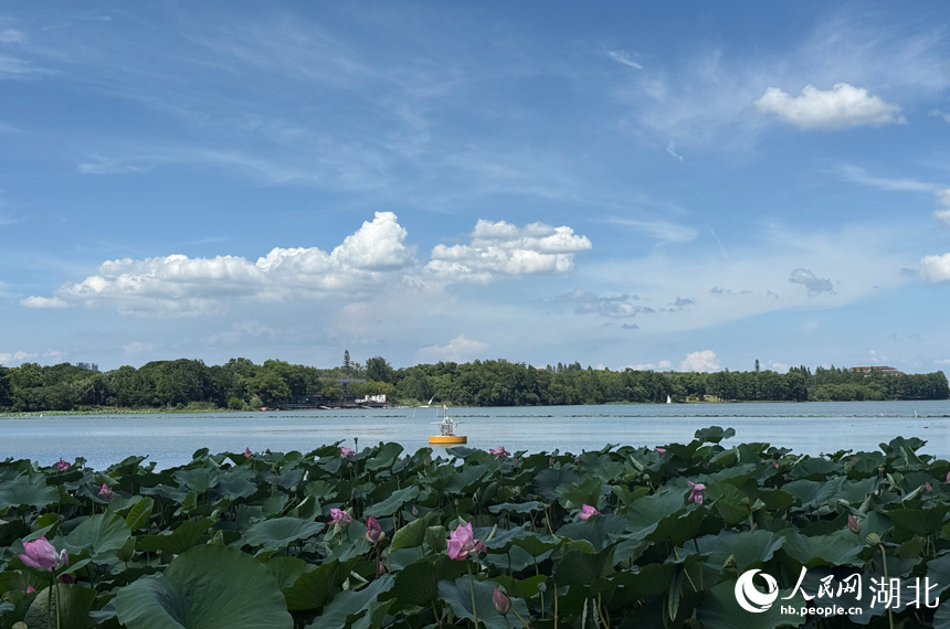 湖北武漢:藍(lán)天白云入畫來【5】