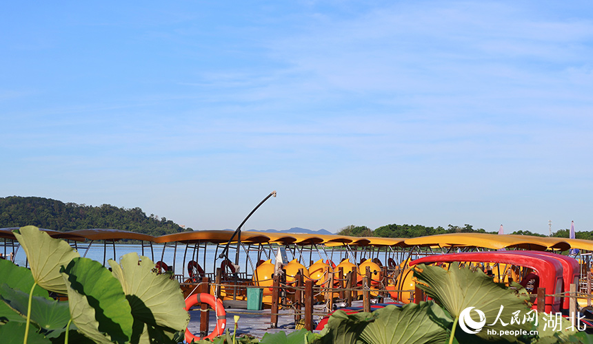 濕地公園里，大黃鴨游船“整裝待發(fā)”。