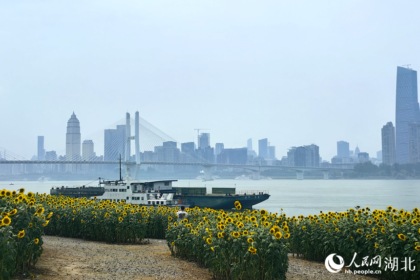 武昌江灘風(fēng)景如畫(huà)。