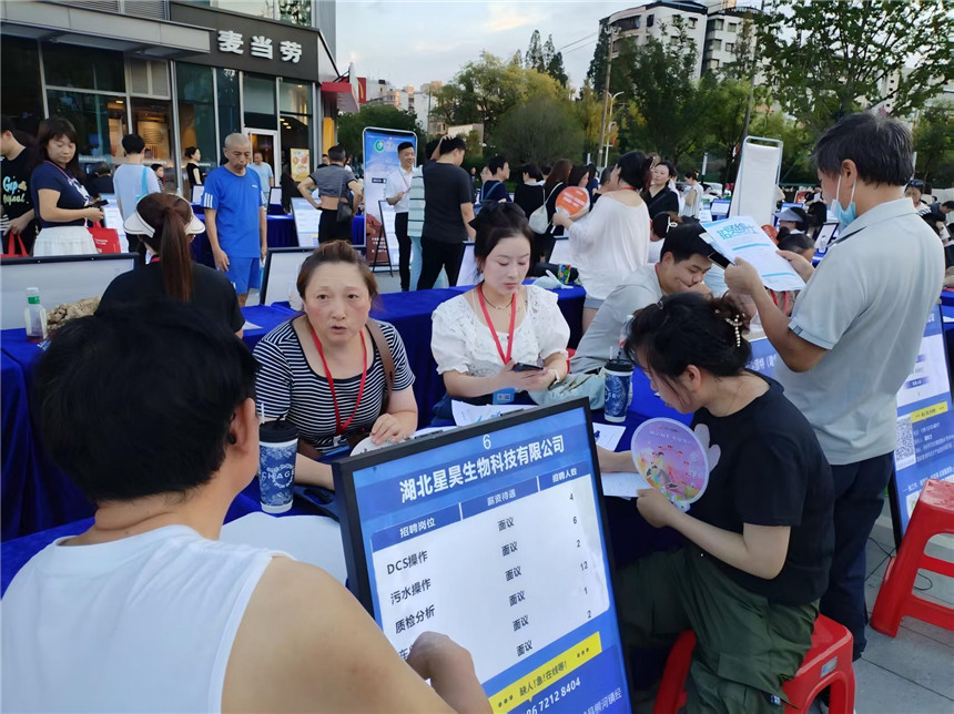 “夜市”招聘點亮求職路【10】