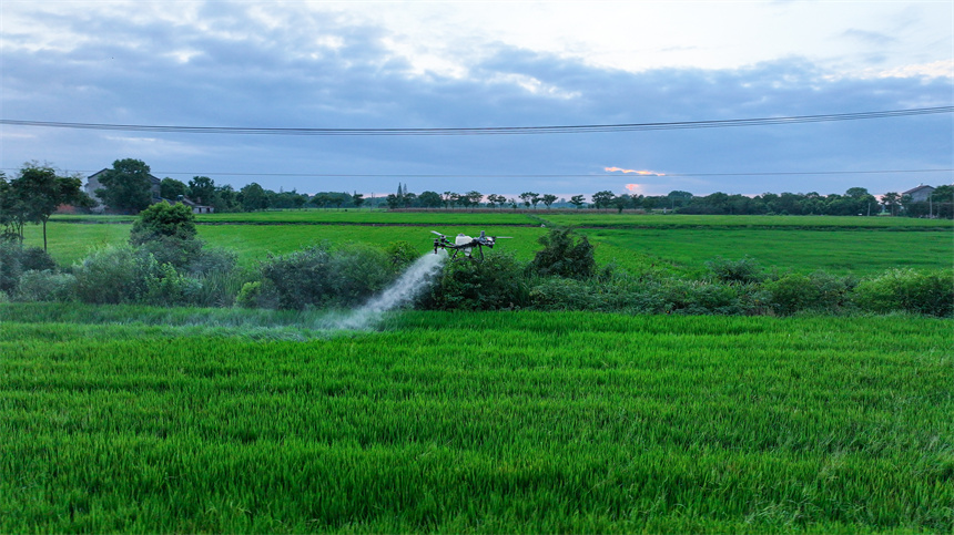 “小田并大田”激活魚米之鄉(xiāng)新動能