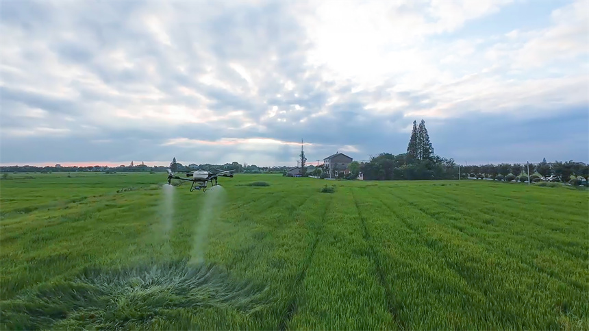 “小田并大田”激活魚(yú)米之鄉(xiāng)新動(dòng)能