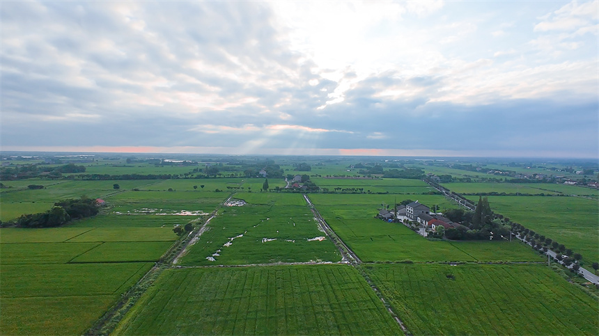 “小田并大田”激活魚米之鄉(xiāng)新動(dòng)能