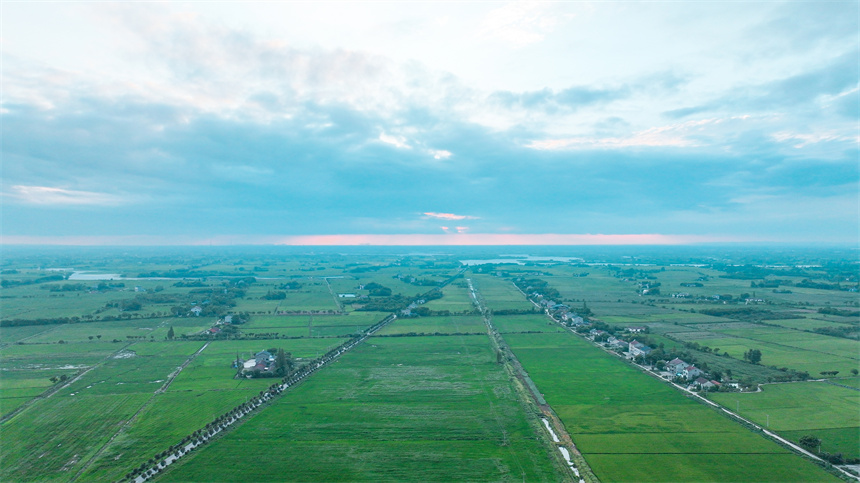 “小田并大田”激活魚米之鄉(xiāng)新動(dòng)能