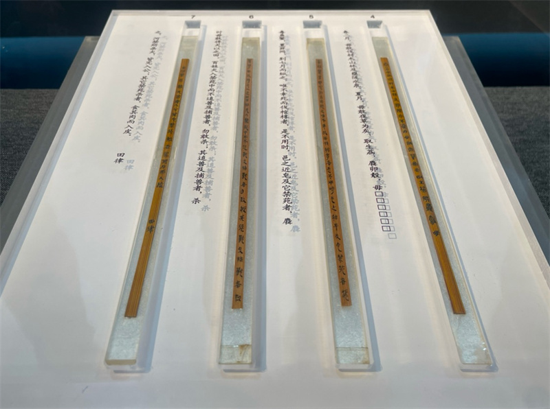 《秦律十八種》中的《田律》。李洋攝