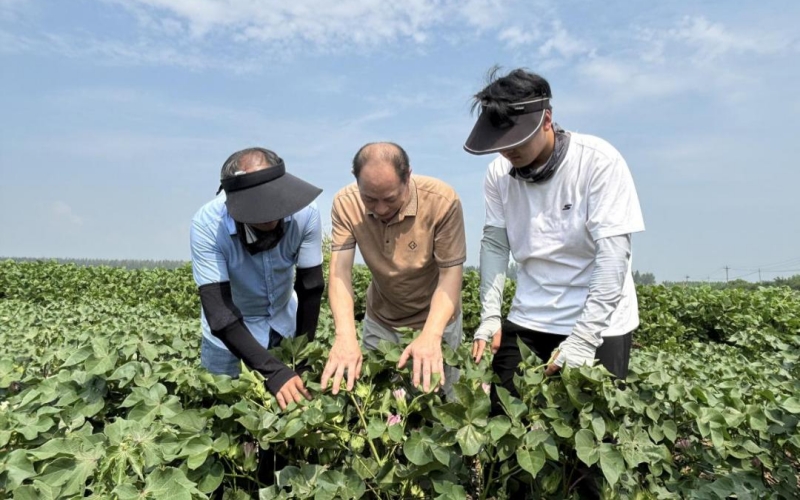 荊門分局走進(jìn)田間。