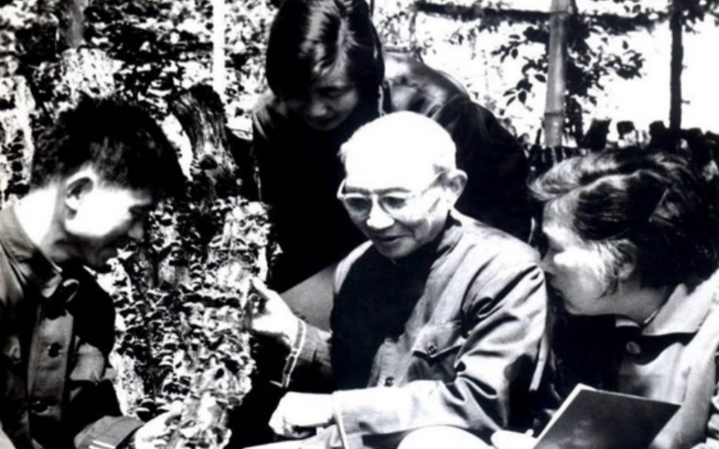 楊新美教授向菇農(nóng)傳授段木香菇栽培技術(shù)。隨州宣傳部供圖